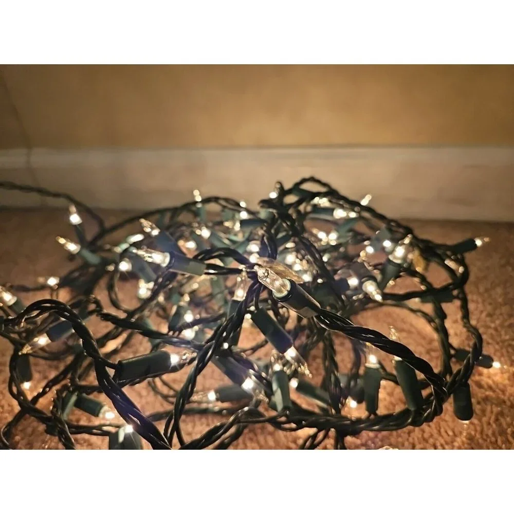 33' (33 Ft.) White/Clear LED String Lights, for Decoration/Holiday Warm Glow